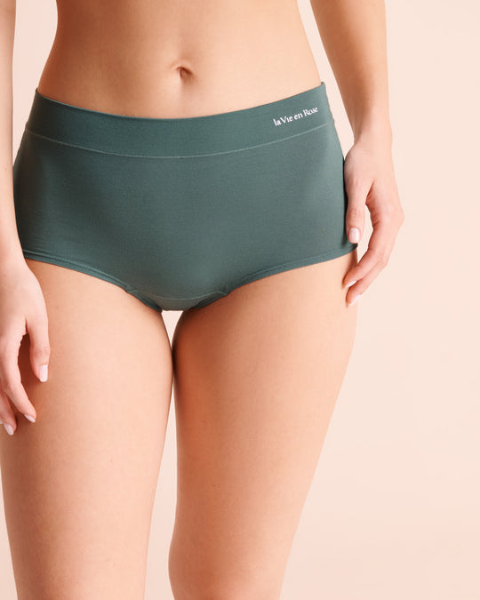 Modal High Waist Hiphugger Panty